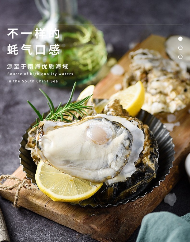 净化蚝鲜活生蚝全壳烧烤新鲜牡蛎半壳生蚝潮汕深海蚝