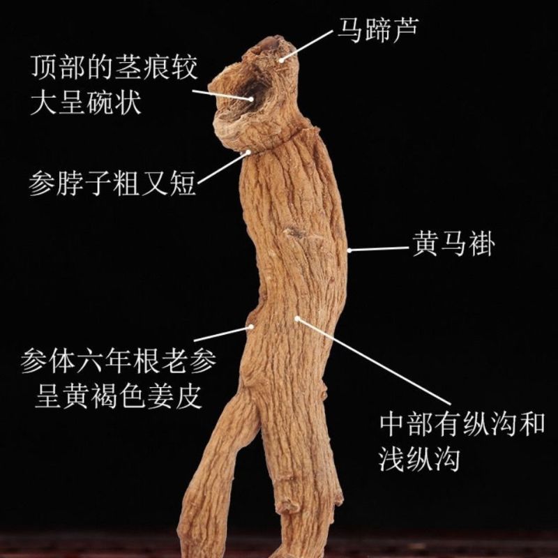 高丽参，韩高丽参，道地药材产地直供，药典标准，含量够过药