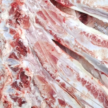 大梁骨，熬汤带肉，厂家直销，天天鲜