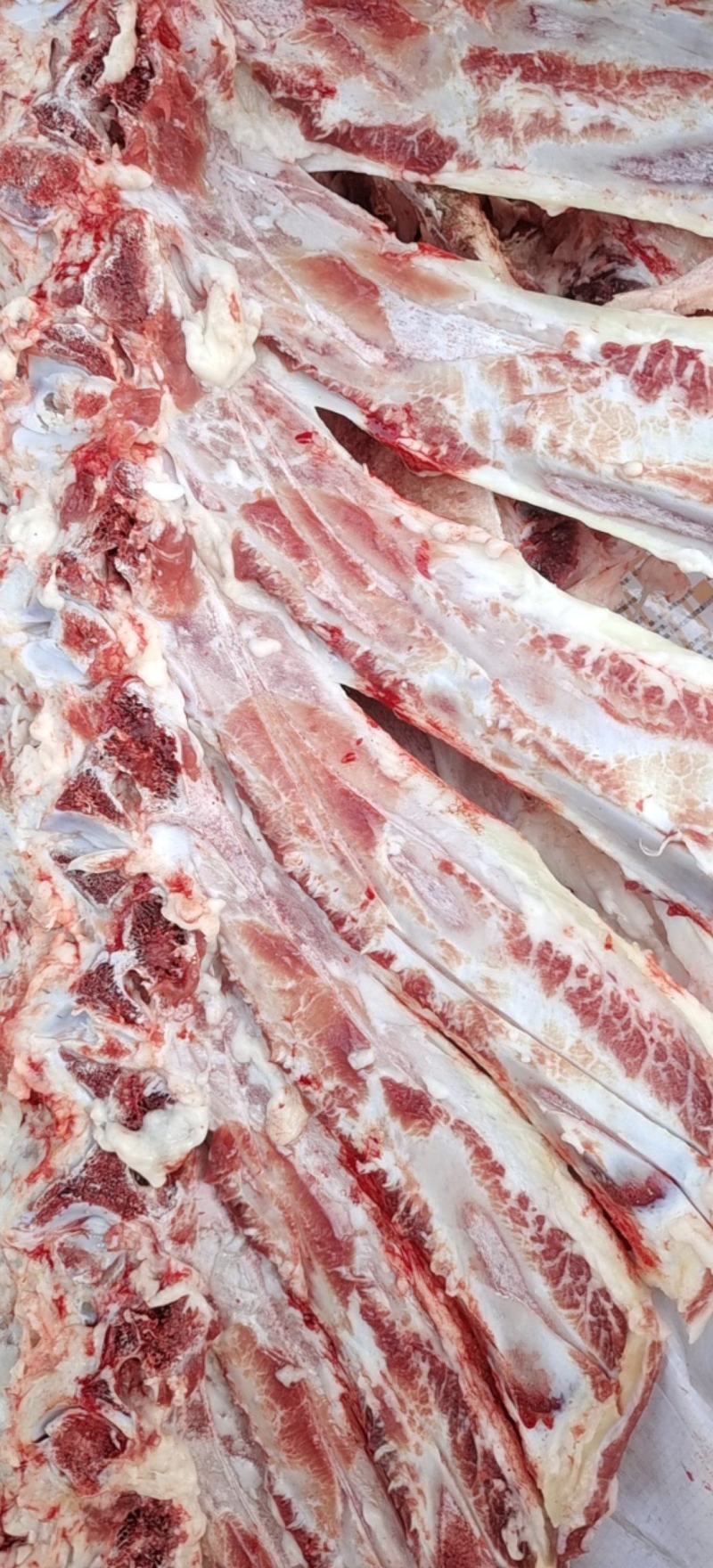 大梁骨，熬汤带肉，厂家直销，天天鲜