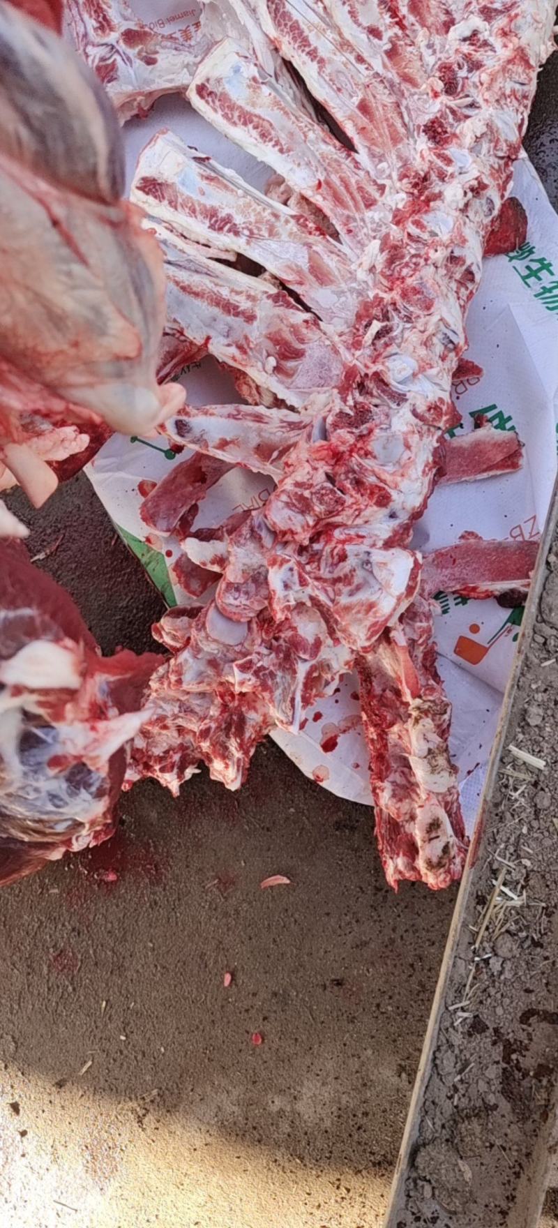 大梁骨，熬汤带肉，厂家直销，天天鲜