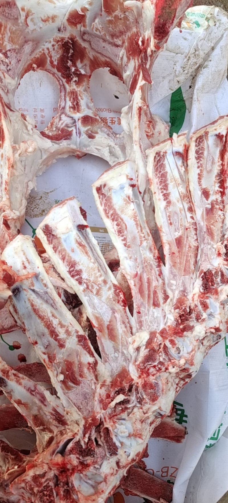 大梁骨，熬汤带肉，厂家直销，天天鲜