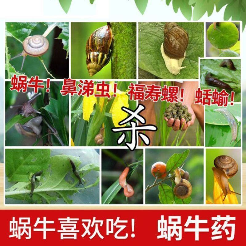 四聚乙醛撒施颗粒剂菜地杀蜗牛鼻涕虫杀虫剂蛞蝓水稻田福寿螺