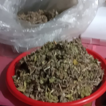 农家自种翻白草新鲜，质量好，1斤一袋包邮