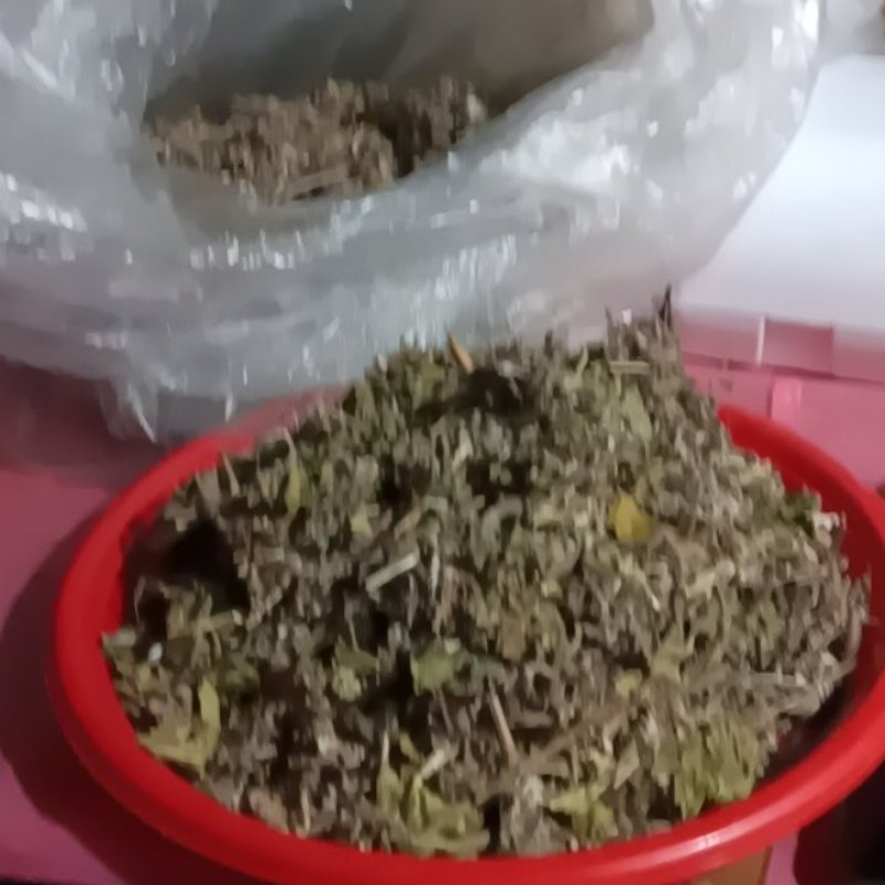 农家自种翻白草新鲜，质量好，1斤一袋包邮