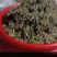 农家自种翻白草新鲜，质量好，1斤一袋包邮
