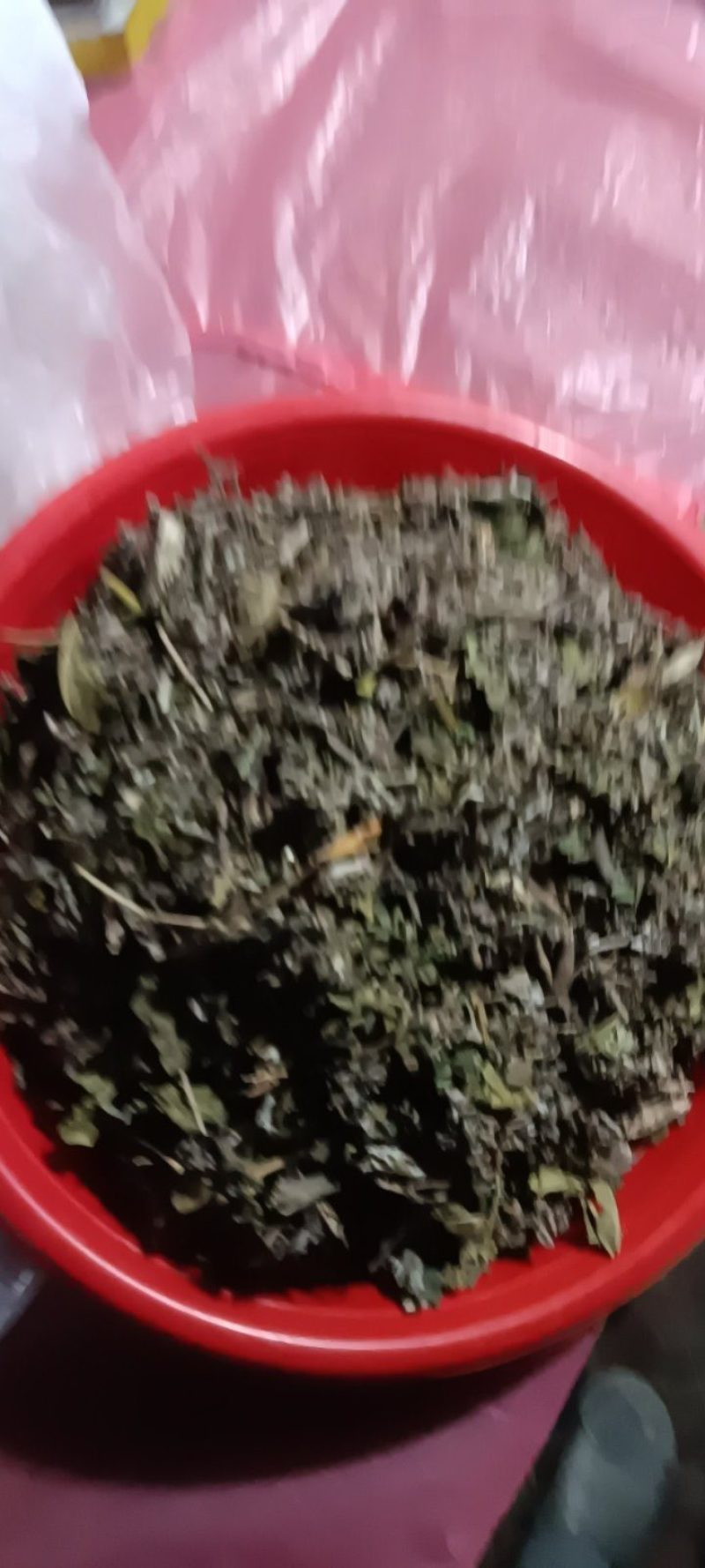农家自种翻白草新鲜，质量好，1斤一袋包邮