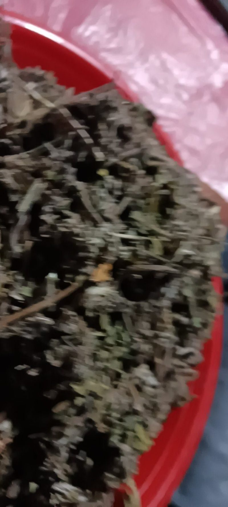 农家自种翻白草新鲜，质量好，1斤一袋包邮