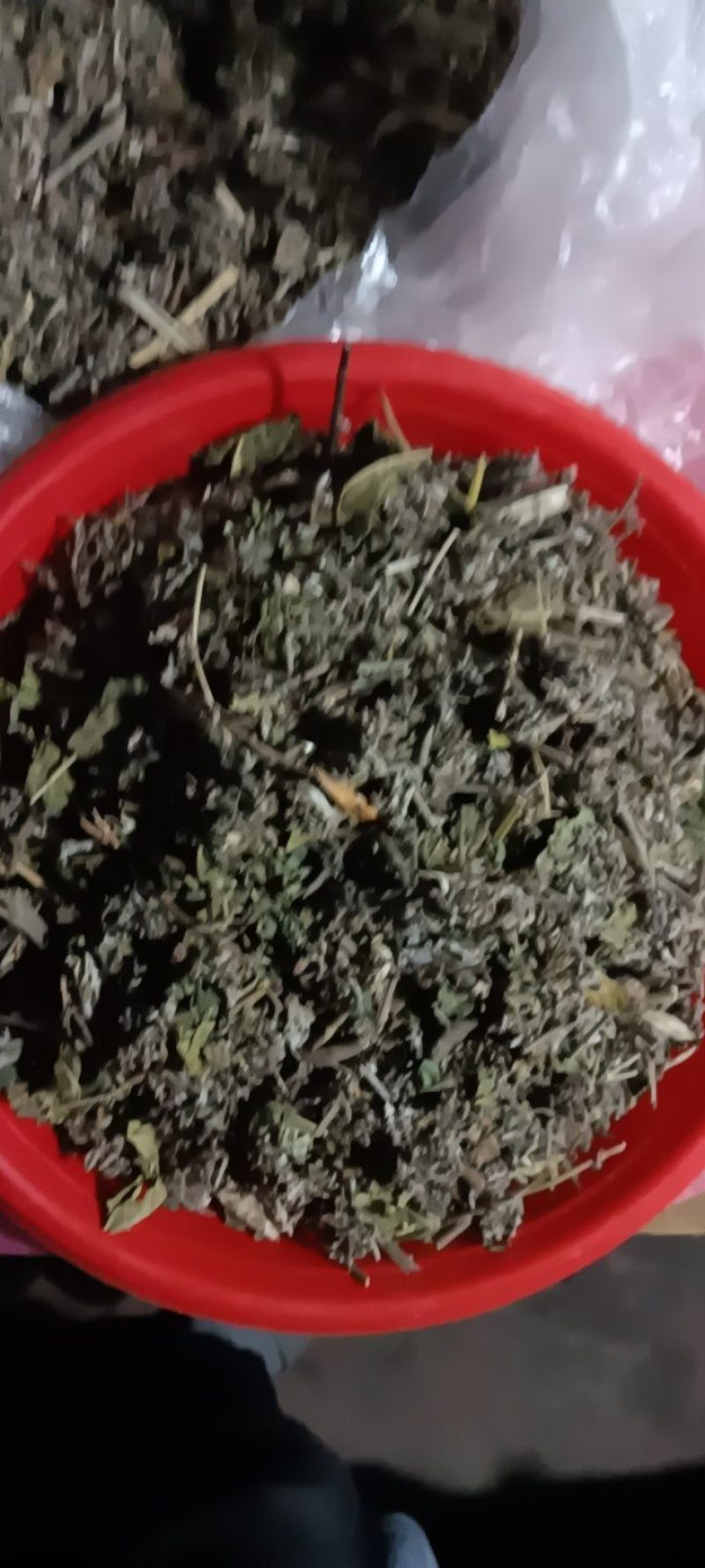 农家自种翻白草新鲜，质量好，1斤一袋包邮