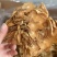 干茶树菇产地货源展会地摊农产品干货散装食用菌批发干金针菇