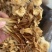 干茶树菇产地货源展会地摊农产品干货散装食用菌批发干金针菇