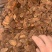 各种规格轻糖红参片，超低价出售，自用特实惠