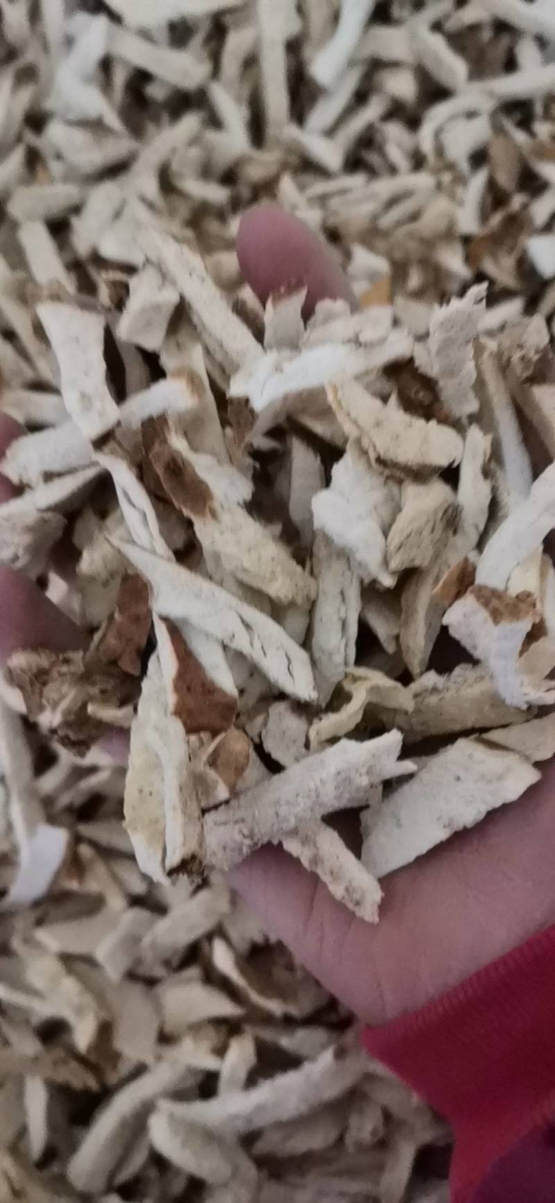 毕解，中药材批发零售毕解丝