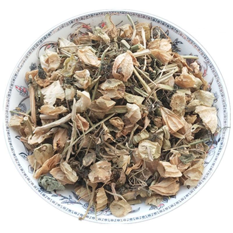 灯笼草中药材灯笼草打卜草打额泡天泡草黄灯笼黄
