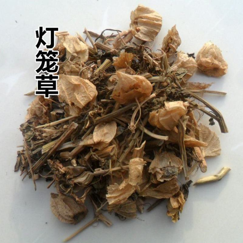 灯笼草中药材灯笼草打卜草打额泡天泡草黄灯笼黄