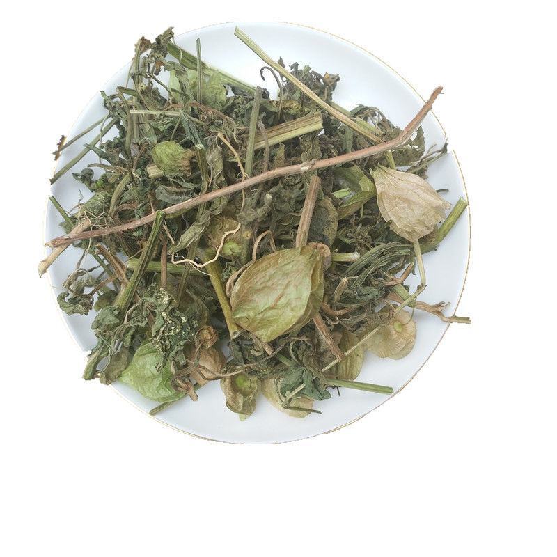 灯笼草中药材灯笼草打卜草打额泡天泡草黄灯笼黄