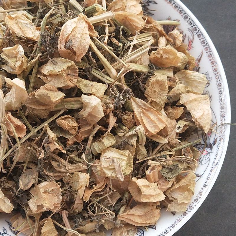 灯笼草中药材灯笼草打卜草打额泡天泡草黄灯笼黄