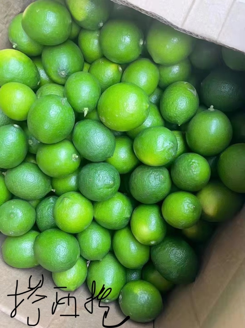 塔西提无籽柠檬