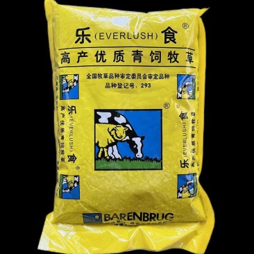 高丹草种子一亩地2斤牧草年生种孑四季收割高产型高丹