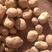 内蒙古武川红沙土226土豆现已大量出库，可视频看货