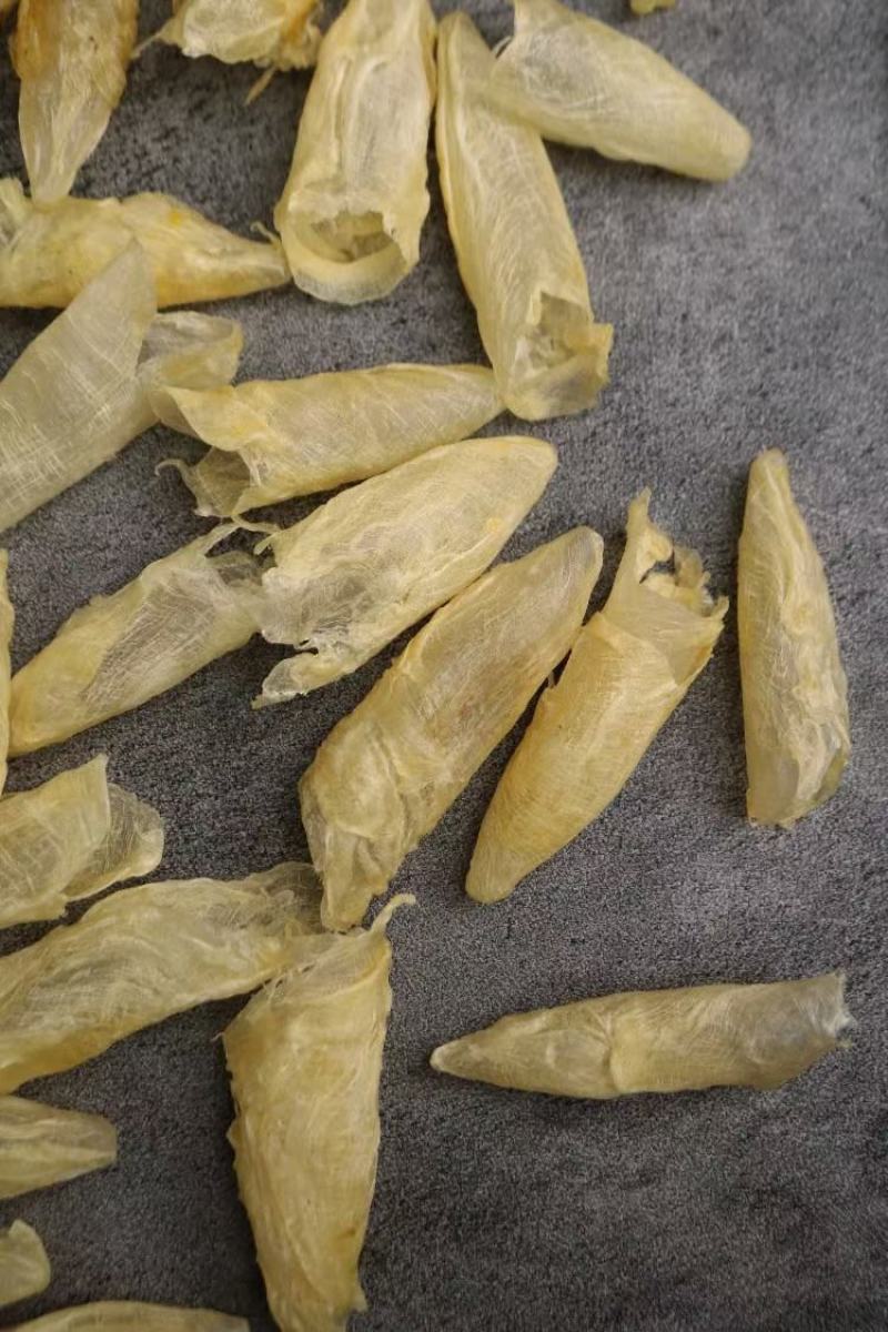 广州人110头咸水黄花筒花胶鱼胶清水无油货新一件代发批发