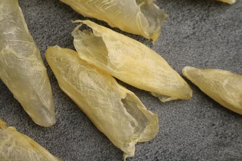 广州人110头咸水黄花筒花胶鱼胶清水无油货新一件代发批发
