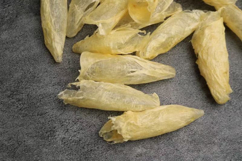 广州人110头咸水黄花筒花胶鱼胶清水无油货新一件代发批发