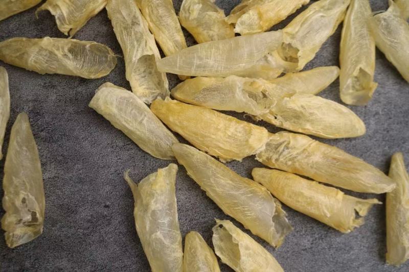 广州人110头咸水黄花筒花胶鱼胶清水无油货新一件代发批发