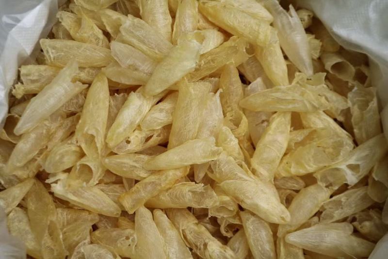 广州人110头咸水黄花筒花胶鱼胶清水无油货新一件代发批发