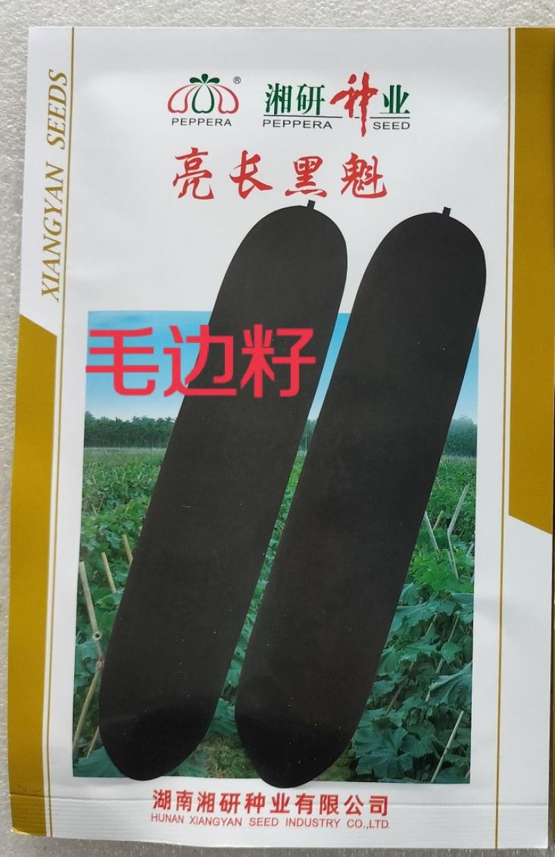冬瓜种子墨宝，墨金006，银狐卓艺等种子湘妹子出品