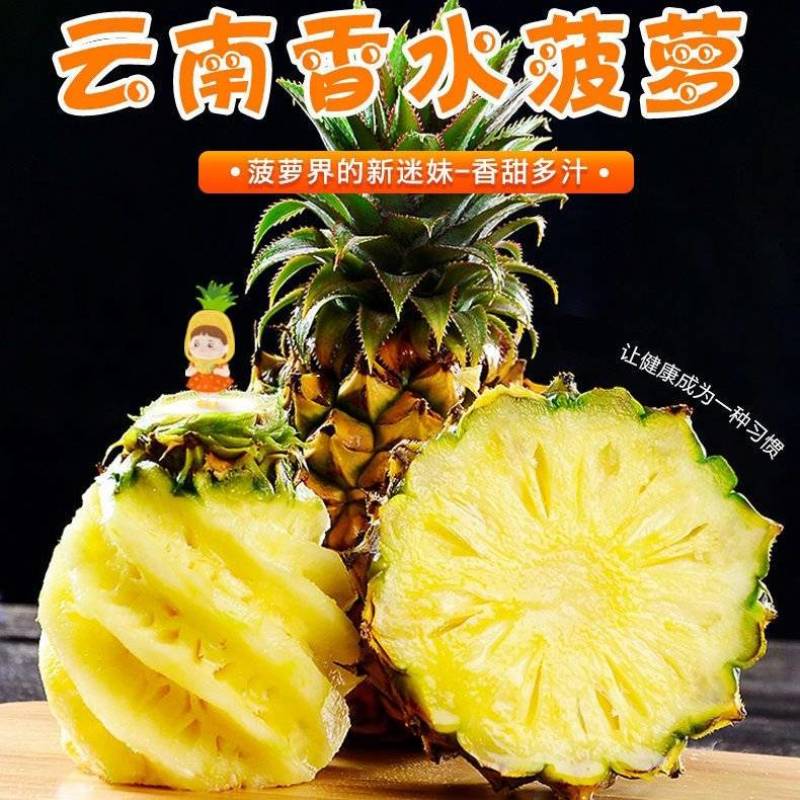 现摘现发云南一件代发新鲜香水菠萝好吃香甜