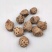藕节生藕节中药材干藕节老藕节药用莲藕根芦根