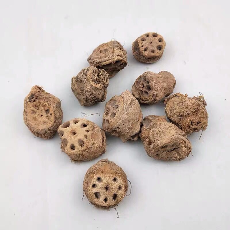 藕节生藕节中药材干藕节老藕节药用莲藕根芦根