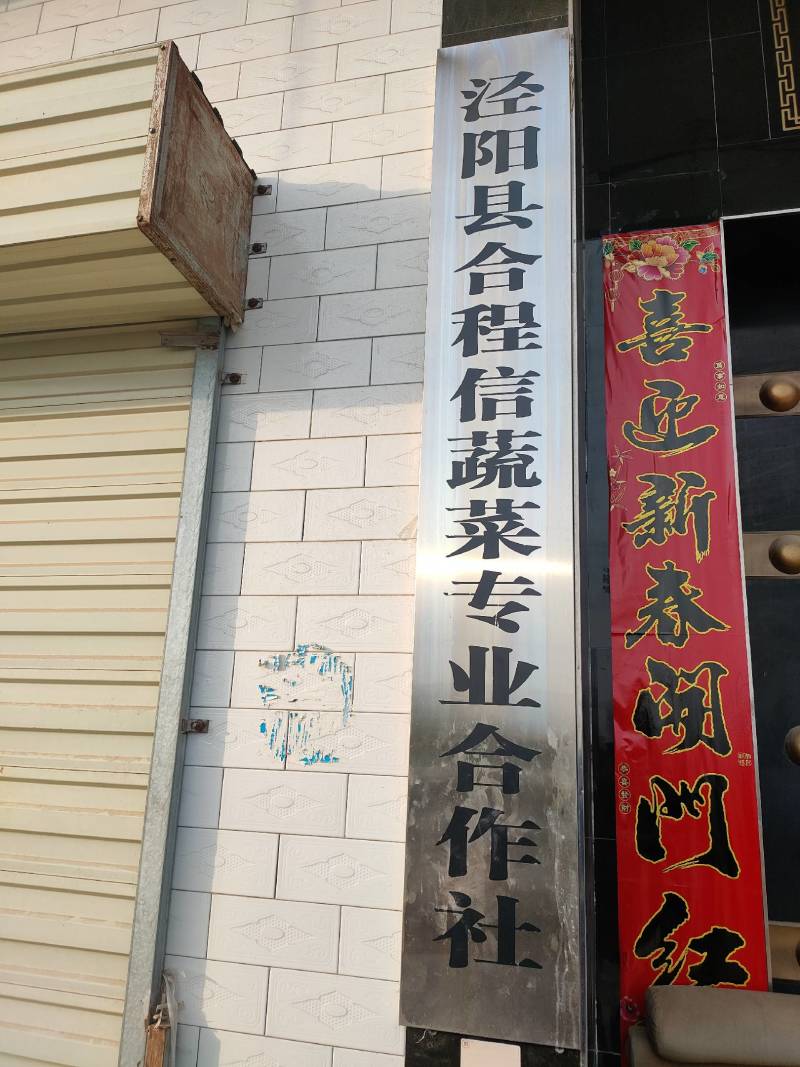 普罗旺斯水果西红柿