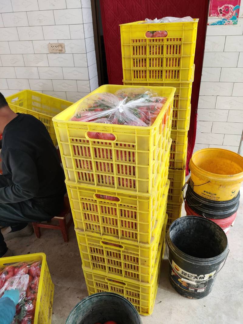 普罗旺斯水果西红柿