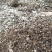 发酵羊粪蛋