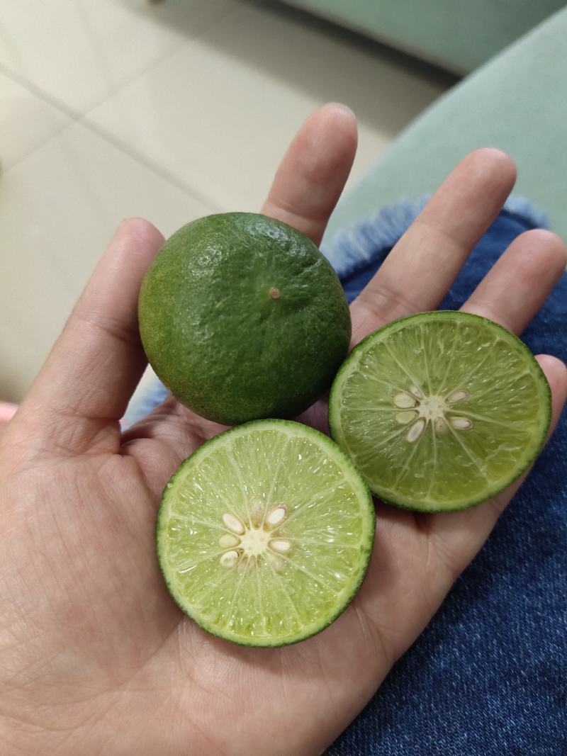 泰国餐用小青云南小青柠檬皮薄汁多单个30-60克新鲜时令