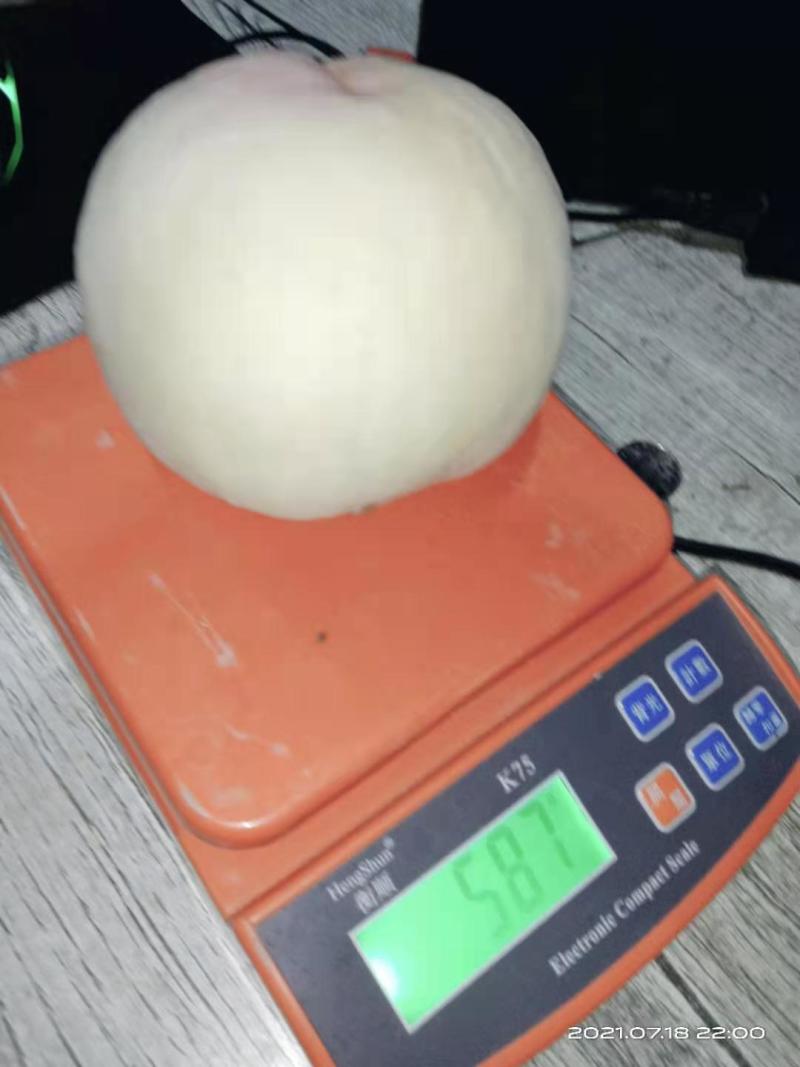 白桃水蜜桃