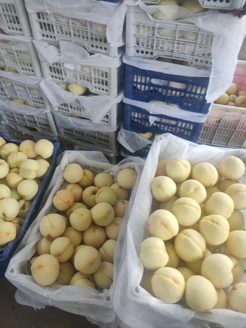 白桃水蜜桃