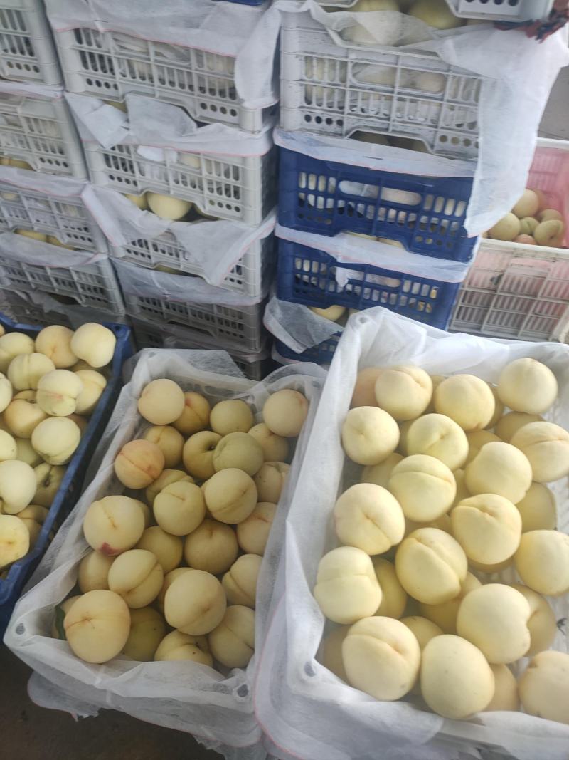 白桃水蜜桃
