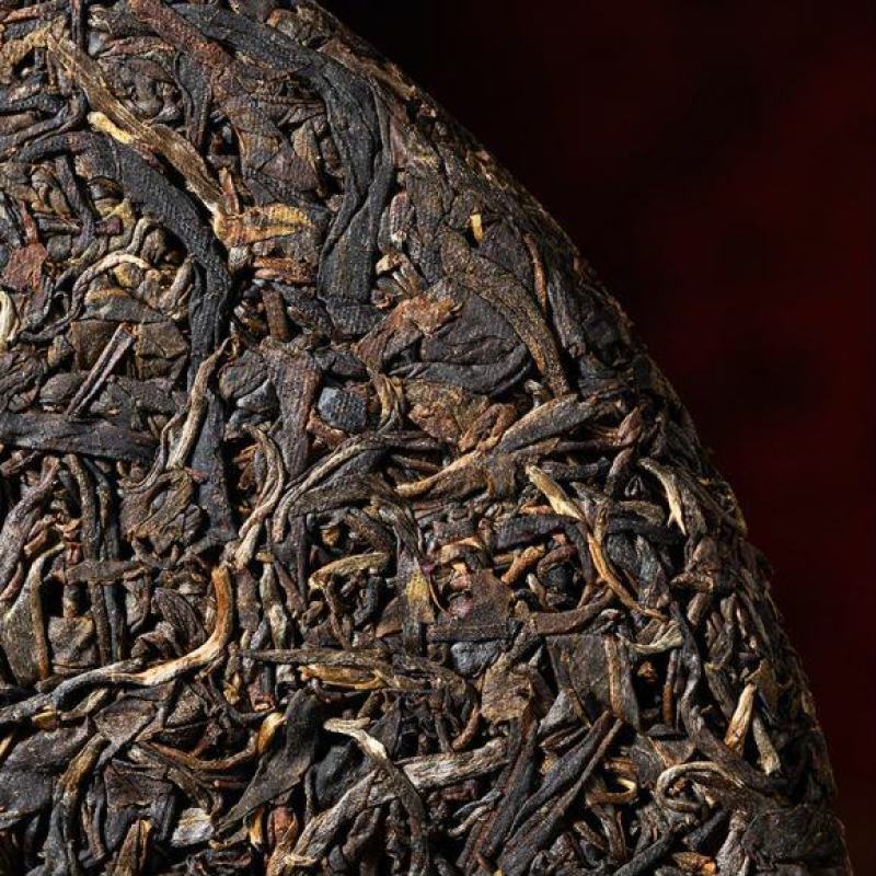 云南临沧云县大朝山古树单株老树茶200克600年古