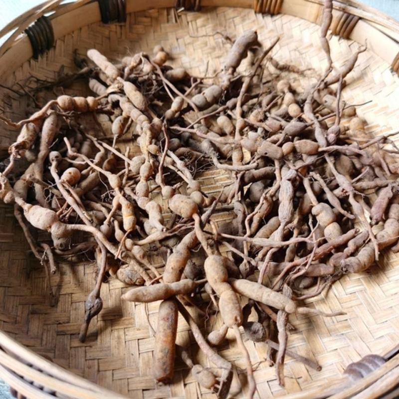 鸡筋参，一手货源，道地药材产地直供，药典标准品质保证。