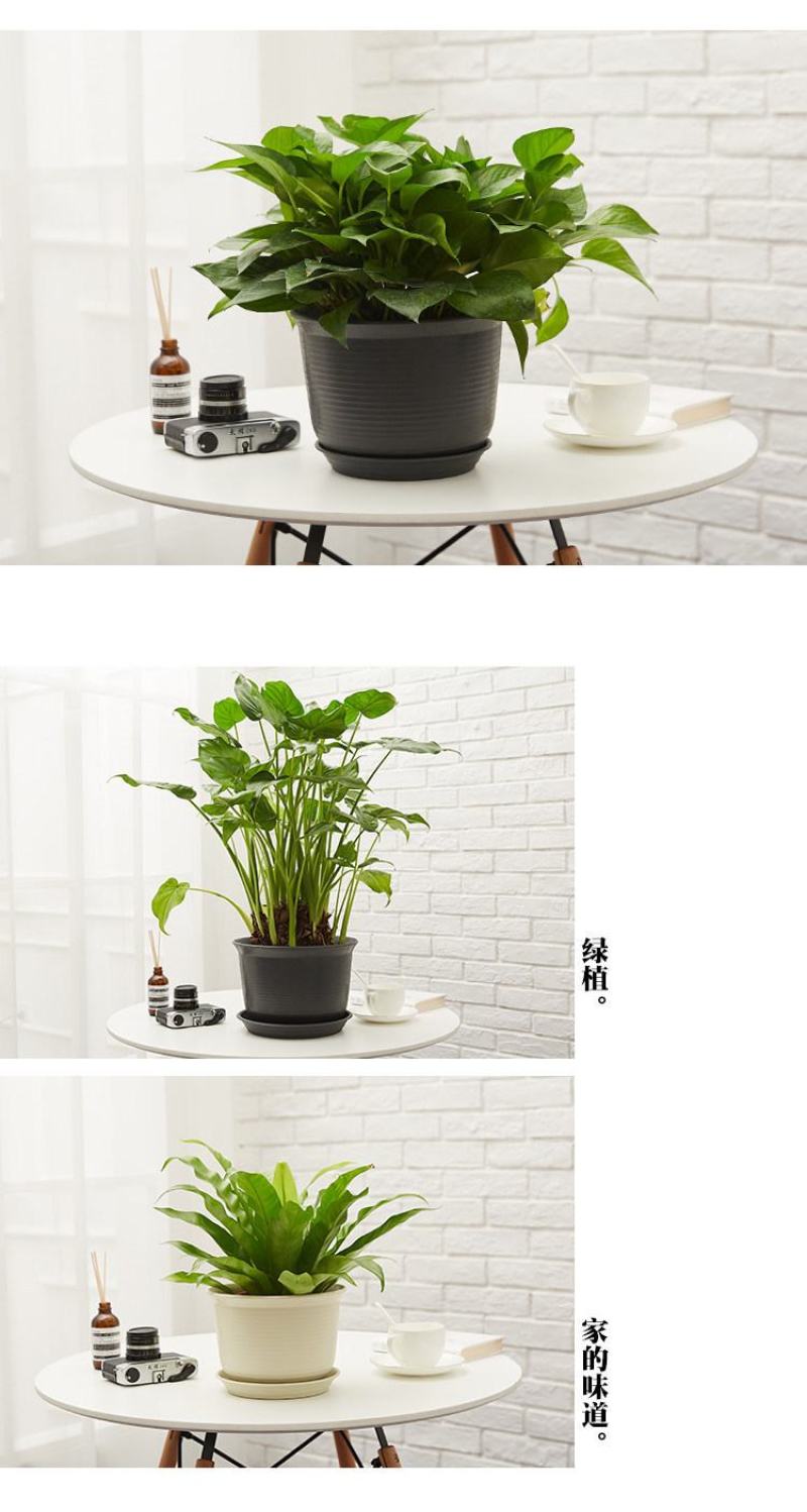 矮款树脂仿陶瓷塑料花盆，四种颜色多种尺寸，厂家批发送托盘