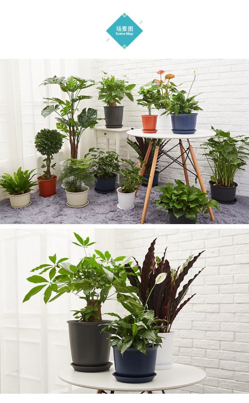 矮款树脂仿陶瓷塑料花盆，四种颜色多种尺寸，厂家批发送托盘