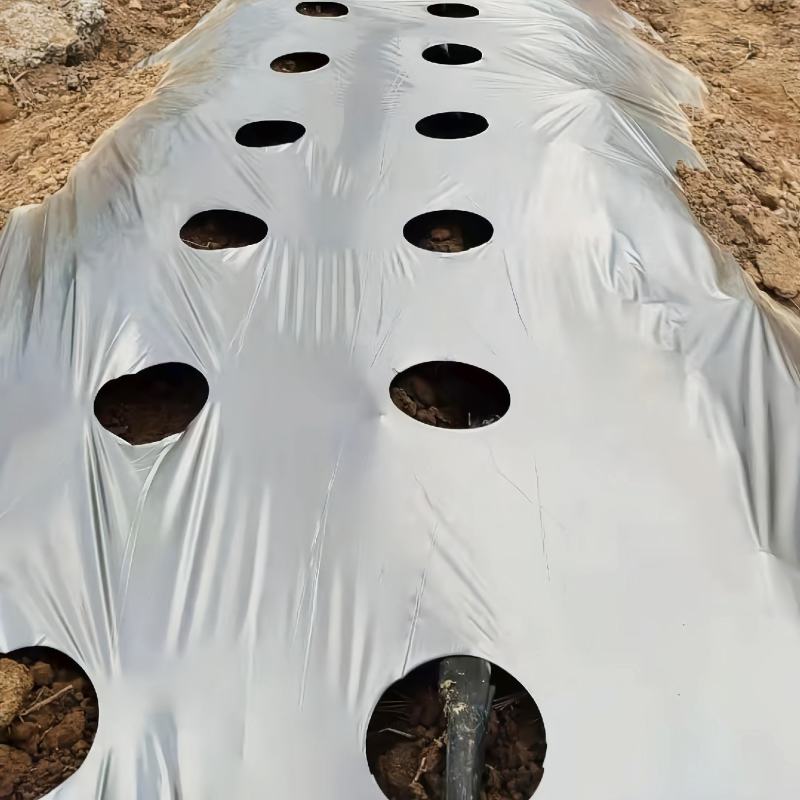 【打孔地膜】银黑双色反光防草打孔地膜专业设计定制