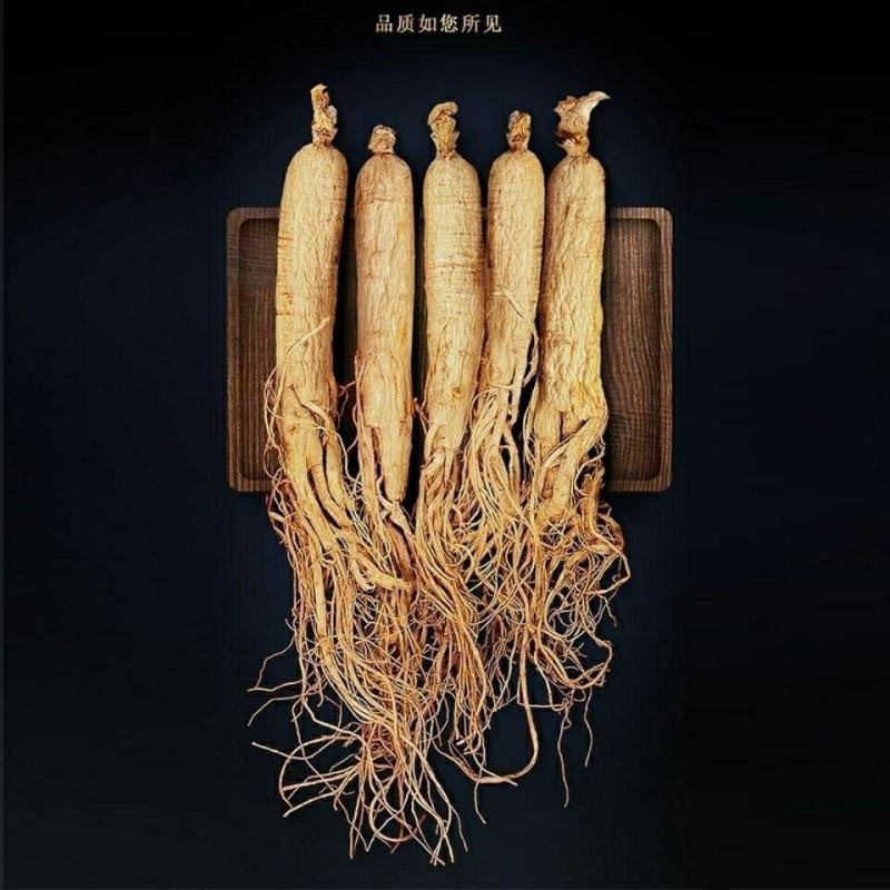 白参，一手货源，产地直供道地药材，吉林老参，药典标准品质