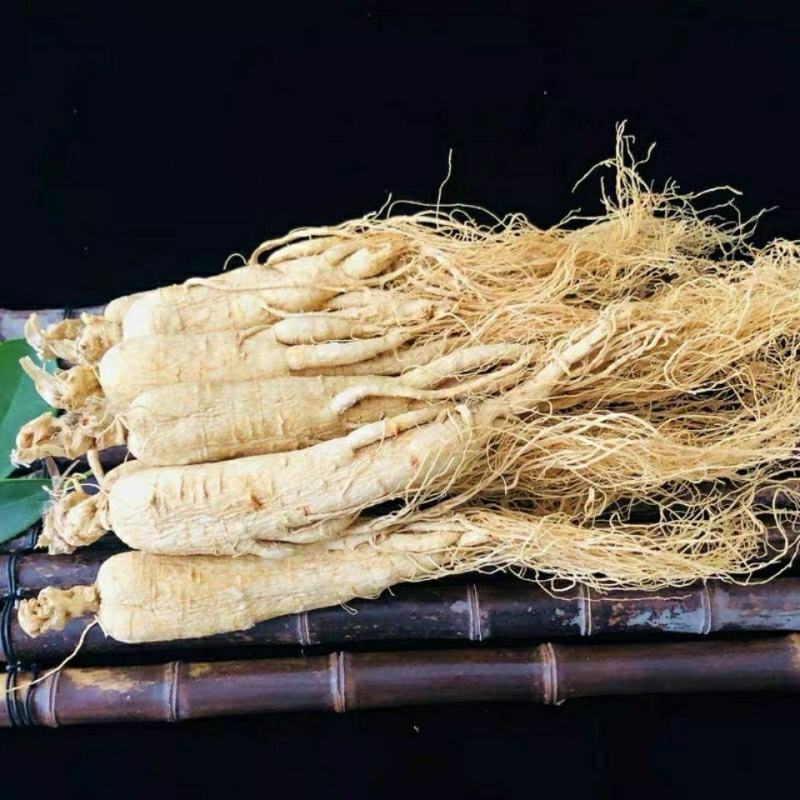 白参，一手货源，产地直供道地药材，吉林老参，药典标准品质