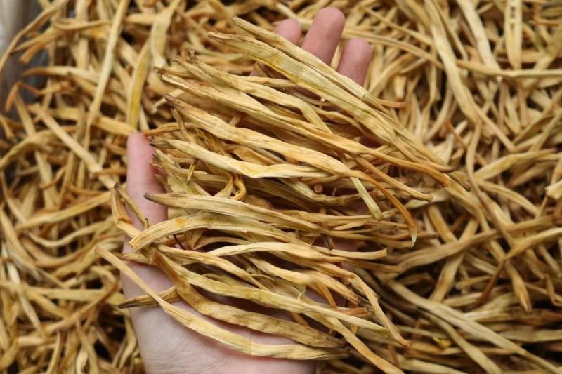 广州人特级黄花菜金针菜麻辣烫火锅凉拌菜一件代发