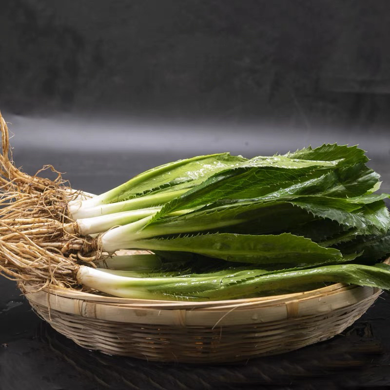 云南大香菜大芫荽泰国配料大芫茜刺芹芫西泰国冬阴功材料
