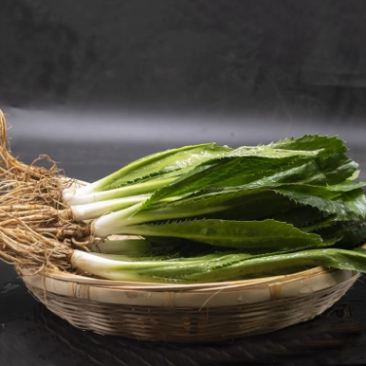 云南大香菜大芫荽泰国配料大芫茜刺芹芫西泰国冬阴功材料